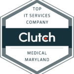 2024 Top IT Services Company