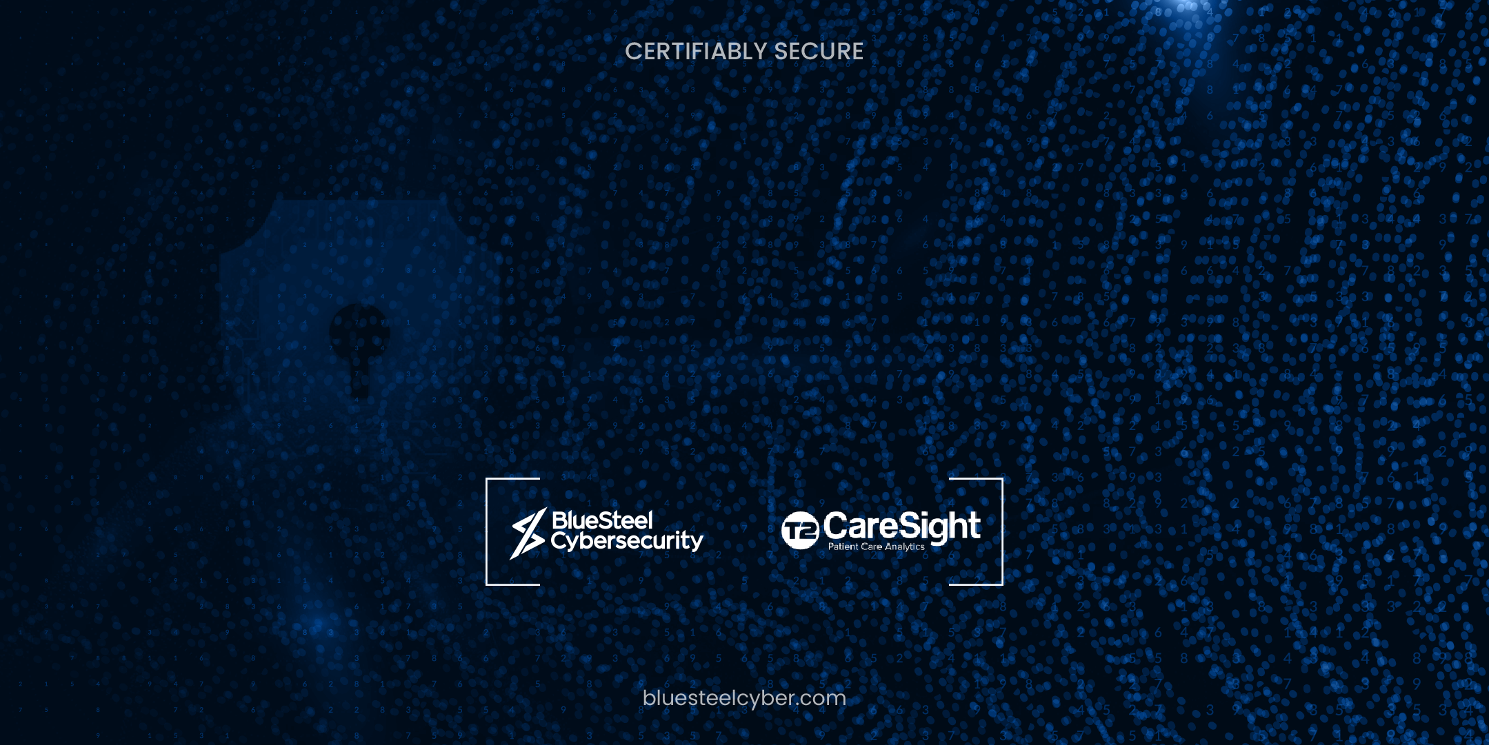 Developing A Humanized Cybersecurity Program: A CareSight Case Study